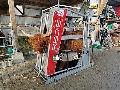 RED 5 - Einsatz mit schottischen Highlands