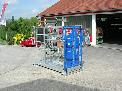 BULL TOP - in 2 Baugrößen S und M