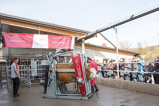 ROS_Infotag_5_Sterne_Kuh_25