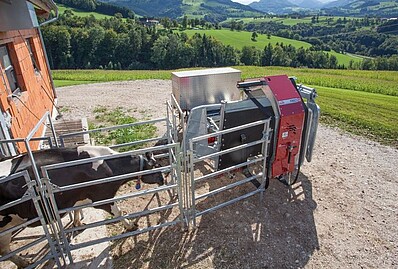 Treibgitterset
